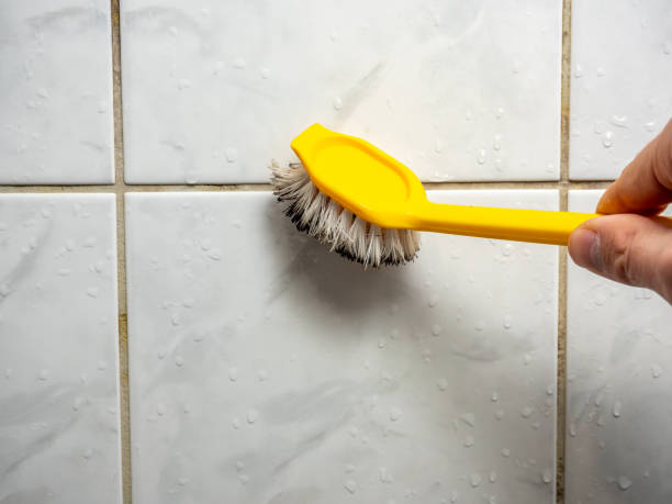 Best Toxic Mold Removal  in Coaldale, PA