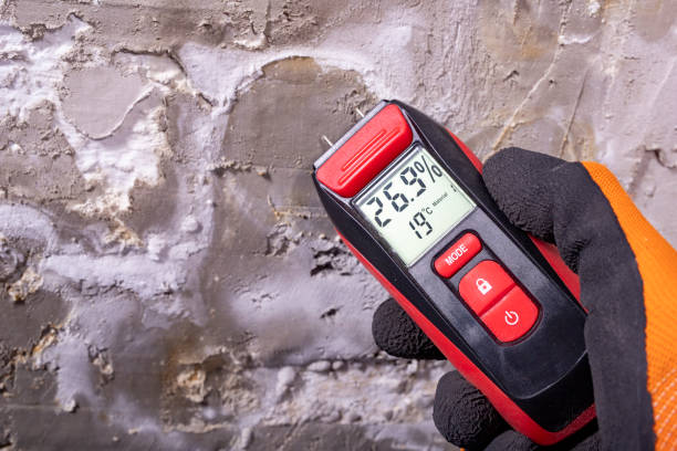 Best Mold Testing  in Coaldale, PA
